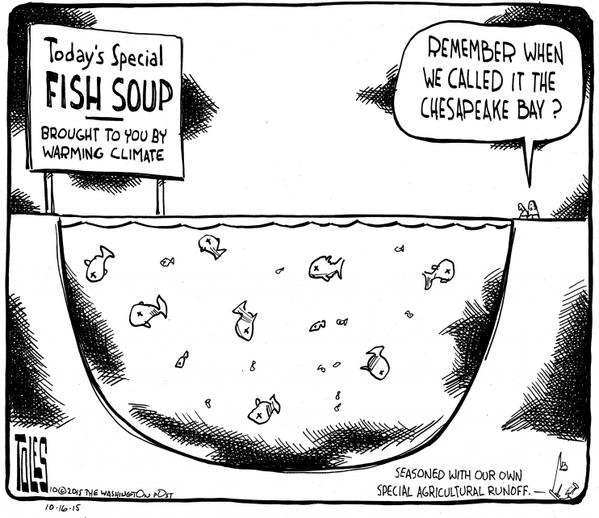 picture on washington post副本.jpg